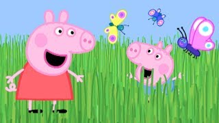 Świnka Peppa Wysoka Trawa Bajki Po Polsku Peppa Po Polsku