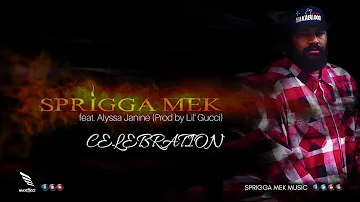Sprigga Mek - CELEBRATION ft. Alyssa Janine  (Prod by Lil Gucci)