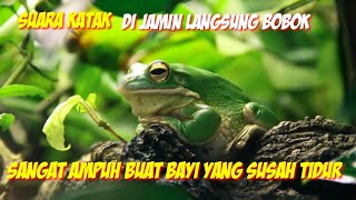 Download lagu SUARA KATAK 🐸 UNTUK ANAK YANG SUSAH TIDUR - DI JAMIN AMPUH - 适合睡觉的孩子的青蛙声音 - 保证强大