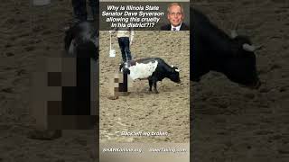 Are Illinois Republican Senators really the Law & Order Party?