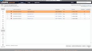 Managing Issues with Loupe Server