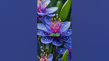 BA ĐIỀU CẦN TỪ BỎ NHẤT TRONG KIẾP NÀY….#tritue #trithuc #baihockinhdoanh #baihoccuocsong #baihoc