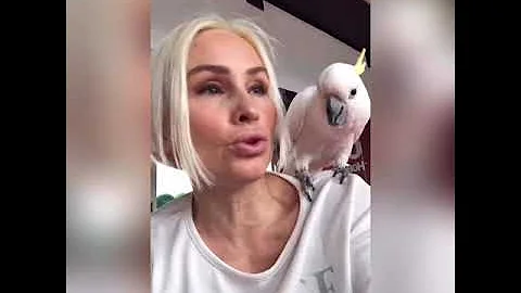 Попугай Какаду, воспитание, дрессура и трудности , не простая артистическая жизнь!