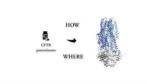 Identifying the molecular target sites for CFTR potentiators GLPG1837 and VX-770 - Yeh et al.