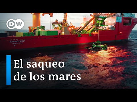 Vídeo: Rochas submarinas dos oceanos