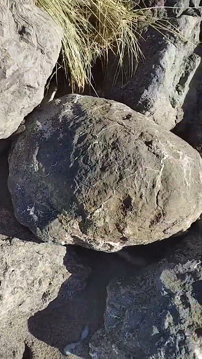 48018351846327331