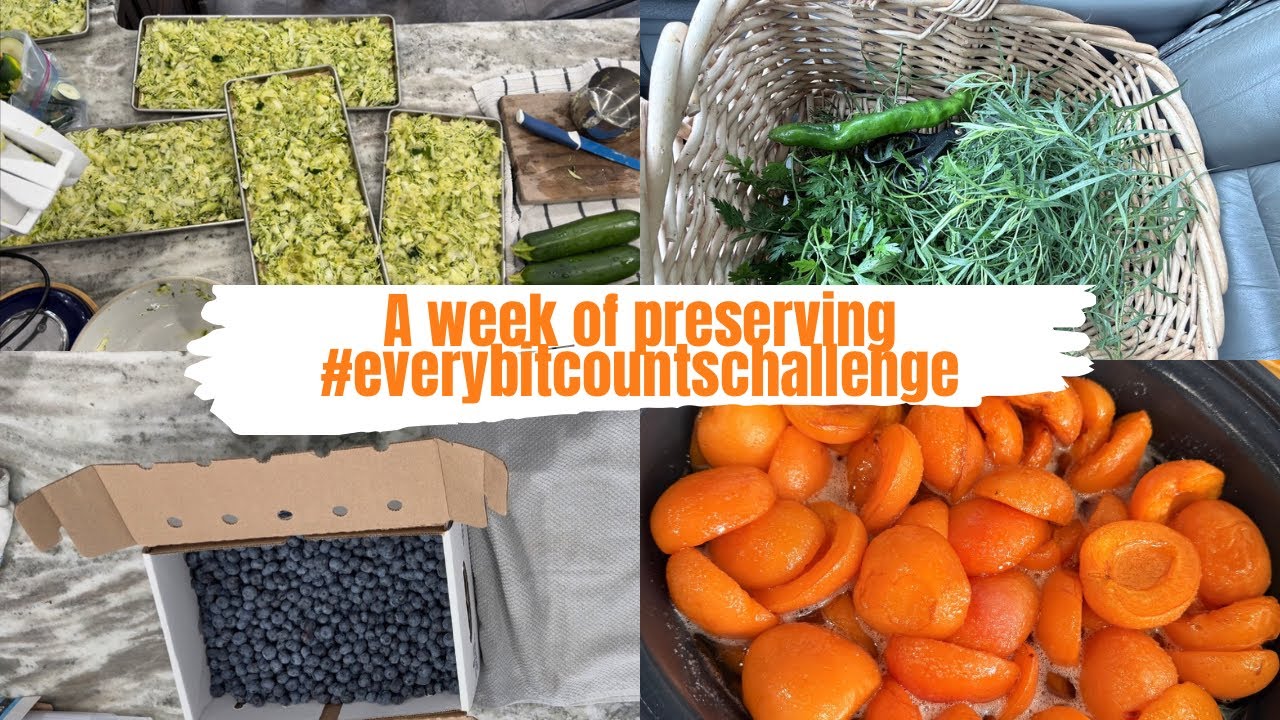 A Week of Preserving 