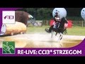 Re-Live - Cross Country (CCI3*) - Strzegom Horse Trials