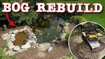 Why Your Bog Filter Isn’t Working (And How to Fix It)