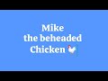 A beheaded chicken running 🫣 Sounds impossible but true