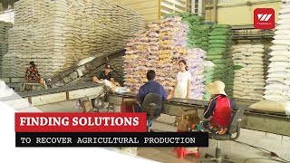 Finding solutions to recover agricultural production after COVID-19 | VTV World