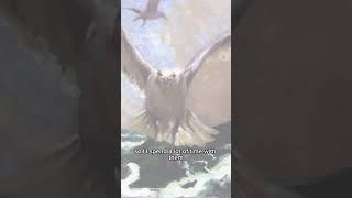 Jamie Wyeth shares his experience painting and living around gulls