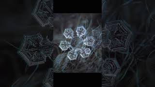snowflake structure ❄️#shorts #trending#viral#fyp#nature #winter