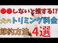 【犬初心者専用】後悔したくない人必見！犬のトリミング料金を節約する方法4選