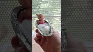 Ma Fille A Été Viré Dun Anniversaire