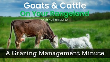 Can You Have Goats and Cattle on Your Rangeland - Grazing Management Minute