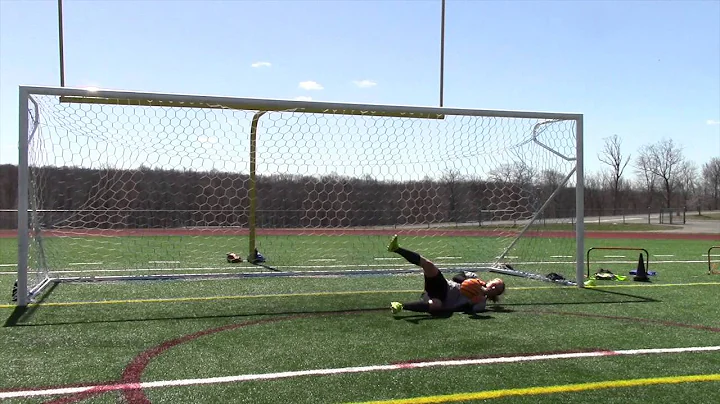 Victoria Richardson Training Video
