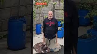 Unreal! AI Turns a Photo Into a Melting Masterpiece