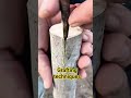 Grafting Techniques #airlayering #experiment #grafting #diy #craf #bushcraft #plants #tips #nature