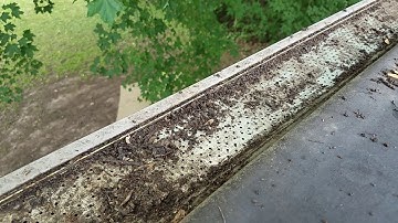 Removing "Leaf Relief" gutter guards