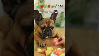 Cute ASMR 🐕#troomzoo #funnyvideo #dog