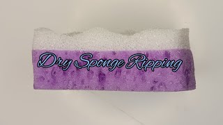 ASMR • Dry Sponge Ripping • 💜🤍💜#spongeripping #spongeasmr #asmr #asmrvideo