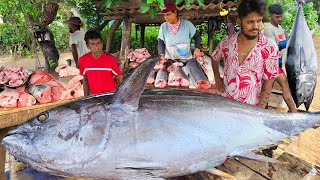 Wow!! Busiest Fisherman's Village Road Fishmarket Island Of Hard Workers