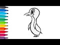 Baby Small Penguin | Learn How to Draw Small Baby Penguin