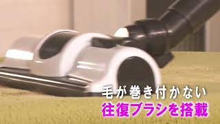 サイクロンクリーナー コンパクト 毛取りヘッド IC C100TKE