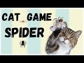 ℙ𝔸𝕁𝔸̨𝕂 GRA DLA KOTÓW - Włącz wideo, a Twój kot nauczy się łapać pająki! - Najlepsza kocia gra