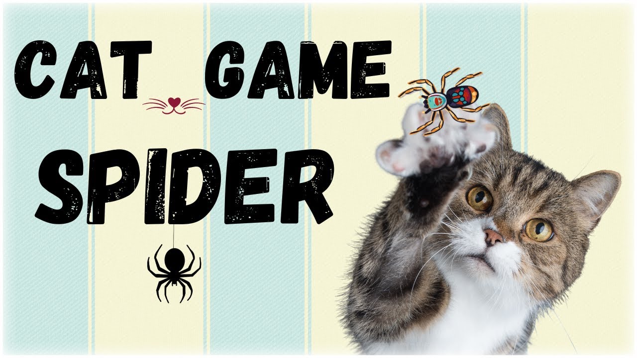 ИГРА КОШКИ-ПАУКИ - Включите видео и ваш кот научится ловить пауков! - Лучшая игра про кошек