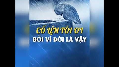 Cố lên tôi ơi, bởi vì đời là vậy
