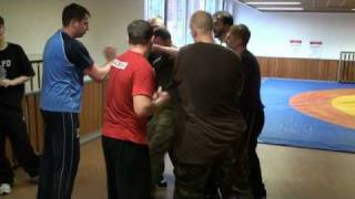 Valentin Vasiliev Systema Training 2