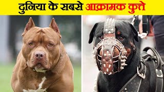 दुनिया के सबसे आक्रामक कुत्ते  | Most Aggressive Dog Breeds | Wild Gravity