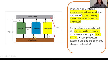 Grade 7: Matter and Energy in Ecosystems, Lesson 6 (Part 2 of 4)