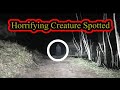 Horrifying Creature spotted at Night on Abandoned Road