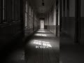Unravel the Doppelgänger Mysteries of History 🔍🕵️‍♂️