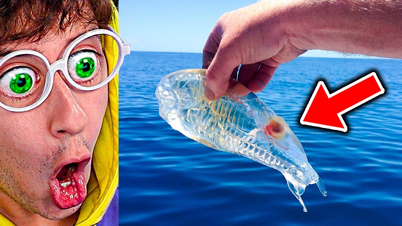 ESTA CRIATURA es REAL 👽😱 (Cosas que NO sabías 🔥 Pez Invisible)