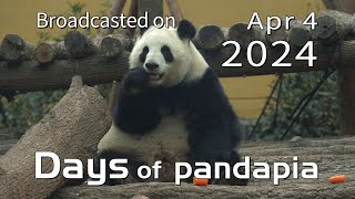 20240404 Broadcast Top Highlights 03 by pandapia HD 341 views 13 days ago 3 minutes, 10 seconds