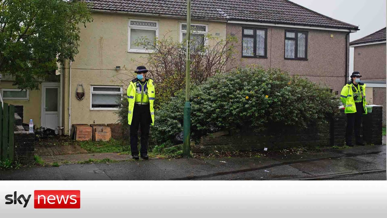 Film backdrop image for 10-year-old boy killed in dog attack named by police (2021)