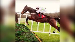 Paul Townend sorry for Incorrect call at Punchestown