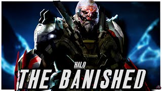 Halo’s Brutal Faction  The Banished | FULL Halo Lore & Origin Story