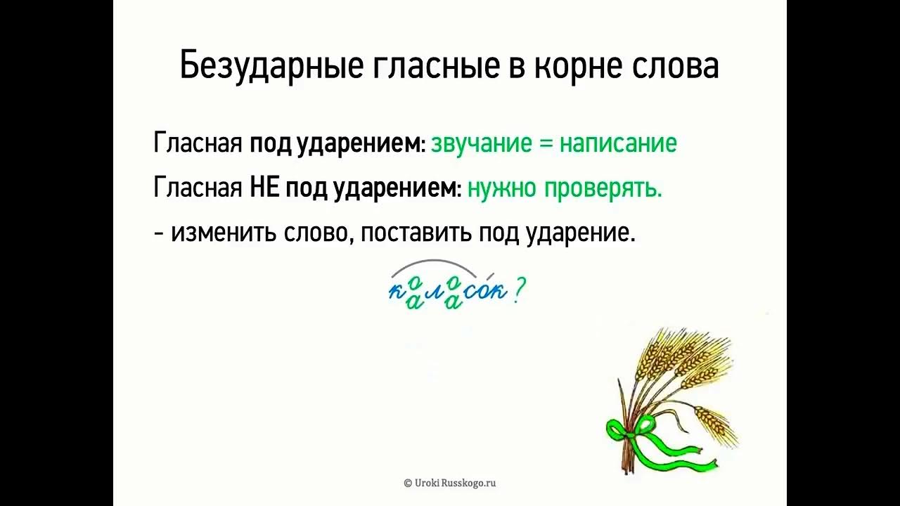 Безударные гласные в корне слова дождь. Правописание безударных гласных 5 класс. Правописание безударных гласных в корне 5 класс. Правописание безударных гласных в корне слова 5 класс. Безударная гласная в корне 5 класс.