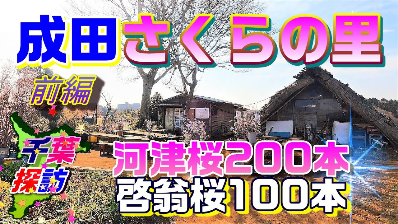 成田 さくら の 里