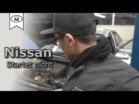 Nissan P12 Startet nicht  |  Does not start  |  Let´s Work  | VitjaWolf  | HD