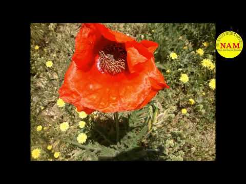      تصاویری از جاده امامزاده هاشم رشت به اسالم تا خلخال