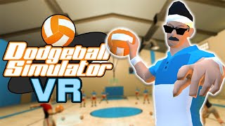 Dodgeball Simulator VR 1