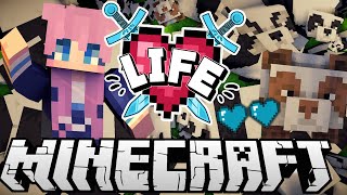 ✧･ﾟ: Panda Chaos :･ﾟ✧ | Ep. 6 | Minecraft X Life Smp