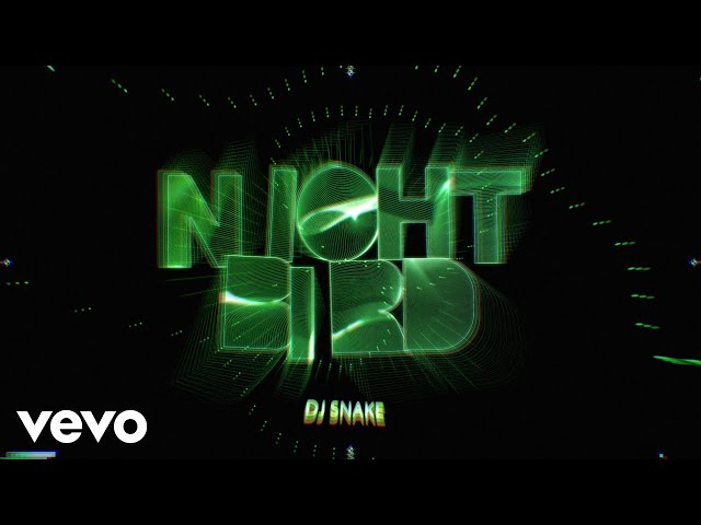 Dj Snake - Nightbird