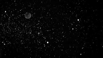 Free 4K particles pack, dust, cinematic / 1 hour Relaxing Background